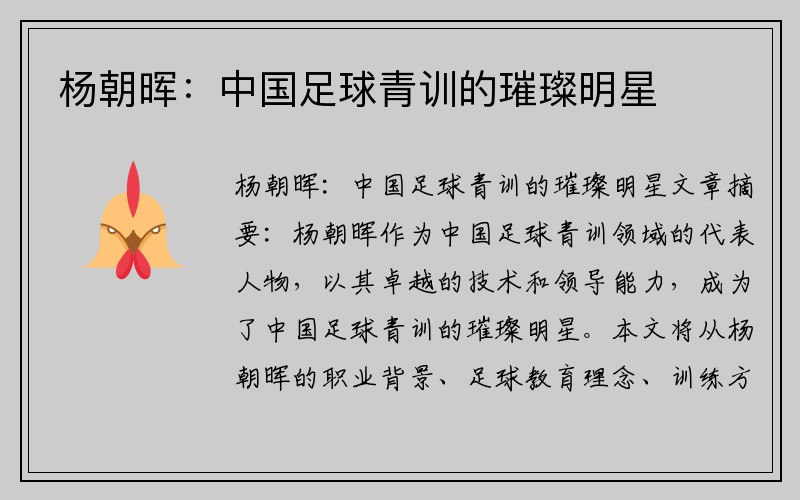 杨朝晖：中国足球青训的璀璨明星