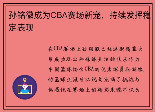 孙铭徽成为CBA赛场新宠，持续发挥稳定表现